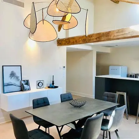 Apartment Loft Chic Carcassonne