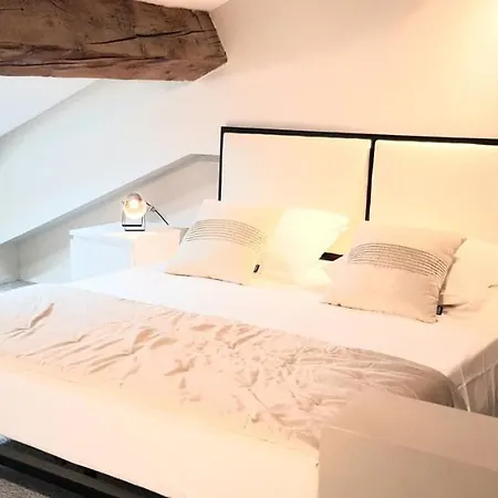 Loft Chic 公寓 卡尔卡松