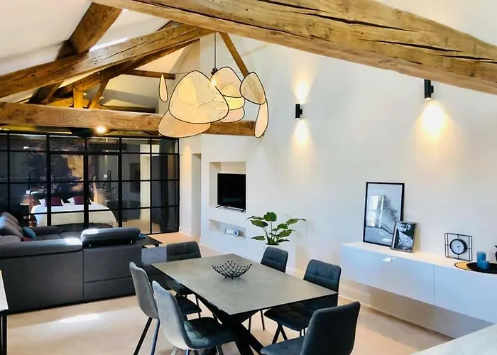 Apartment Loft Chic Carcassonne