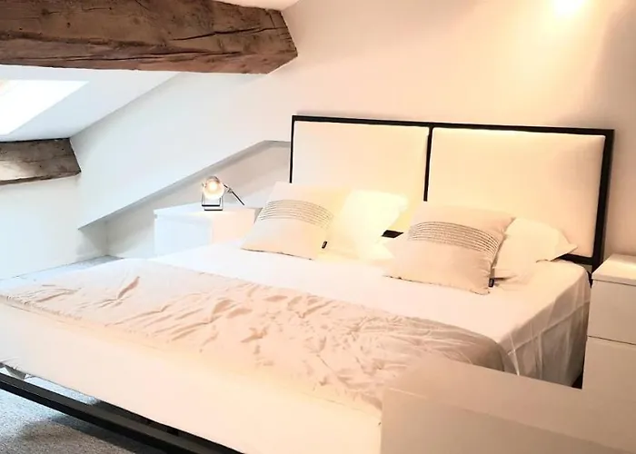 Loft Chic Apartment Carcassonne